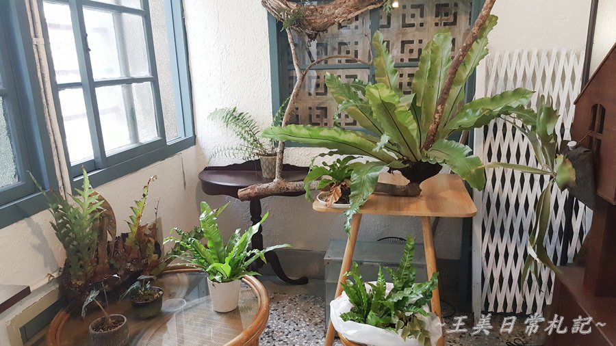 Midori Pastry 綠境|隱身於巷弄間的甜點店|老宅甜點店|不預約吃不到的蛋糕|店家地址營業時間電話