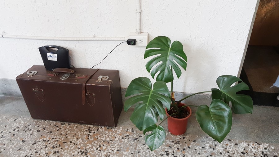 Midori Pastry 綠境|隱身於巷弄間的甜點店|老宅甜點店|不預約吃不到的蛋糕|店家地址營業時間電話