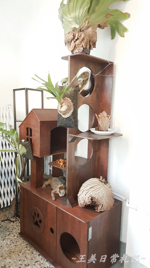 Midori Pastry 綠境|隱身於巷弄間的甜點店|老宅甜點店|不預約吃不到的蛋糕|店家地址營業時間電話