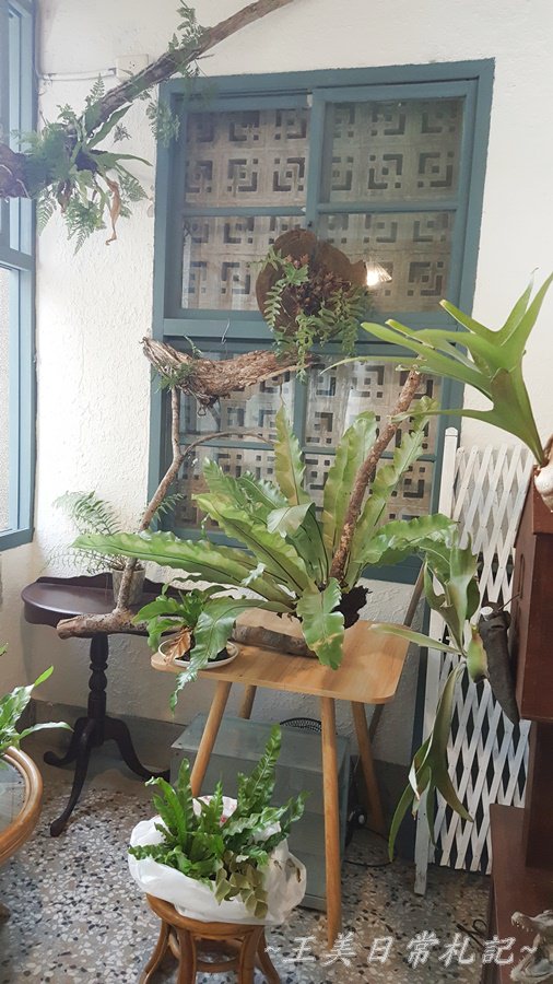 Midori Pastry 綠境|隱身於巷弄間的甜點店|老宅甜點店|不預約吃不到的蛋糕|店家地址營業時間電話