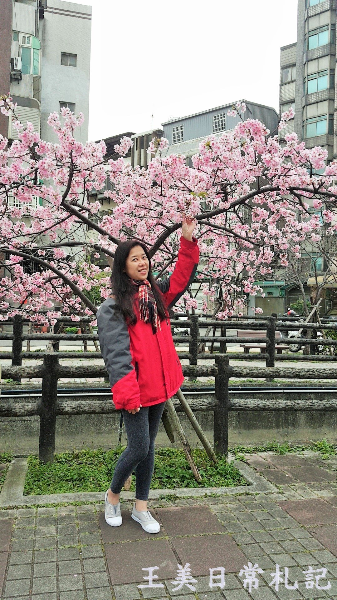 新竹景點-2021汀甫圳賞櫻景點~新竹人賞櫻景點之一。竟然就隱藏在巷子內 - 第24張圖 新竹景點-2021汀甫圳賞櫻景點~新竹人賞櫻景點之一。竟然就隱藏在巷子內